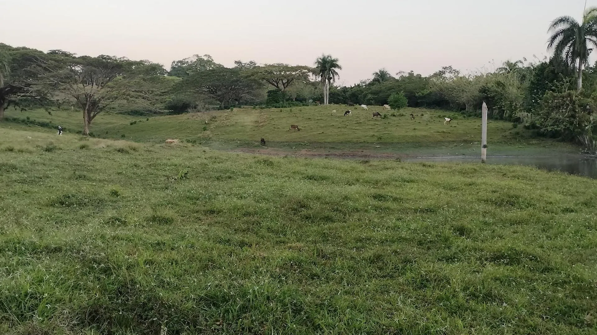 Villa Magante La Yagua